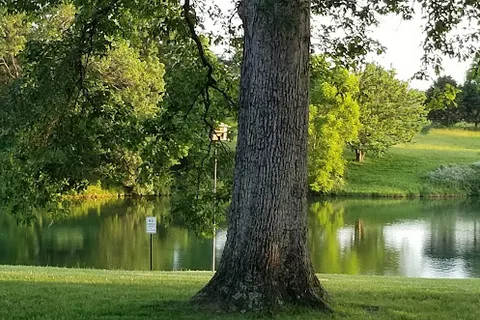 Little Patch of Heaven