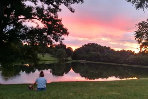 Little Patch of Heaven