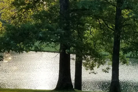 Little Patch of Heaven
