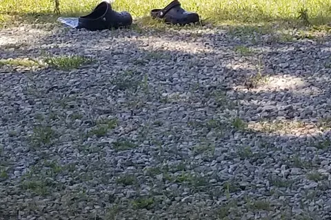 Little Patch of Heaven