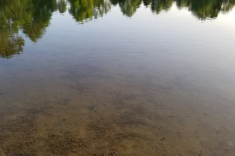 Little Patch of Heaven