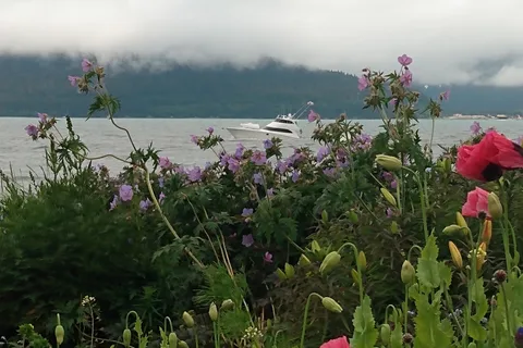 Seward City Campground