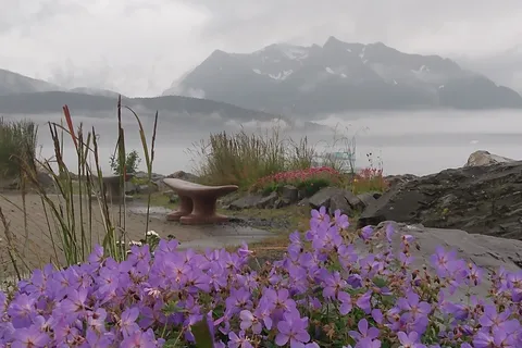 Seward City Campground