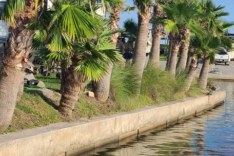 Tiki Tom's RV Park