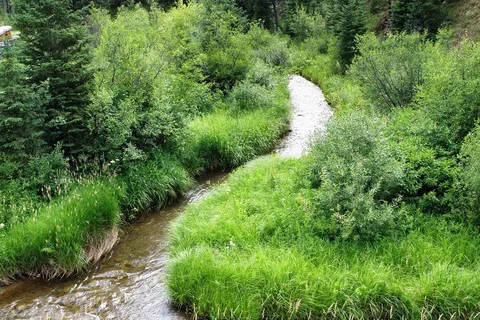 Black Hills Trailside Park Resort