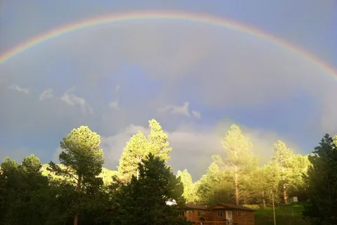 Black Hills Trailside Park Resort