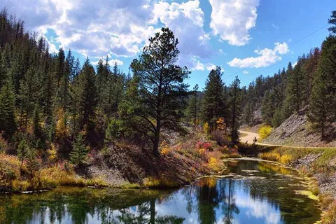 Black Hills Trailside Park Resort
