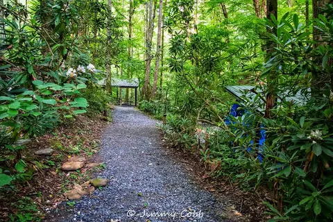 Moonshine Creek Campground