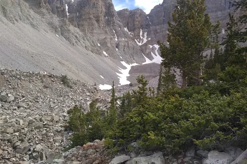 Upper Lehman Creek - Great Basin National Park