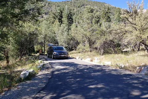 Upper Lehman Creek - Great Basin National Park