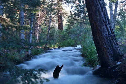 Upper Lehman Creek - Great Basin National Park