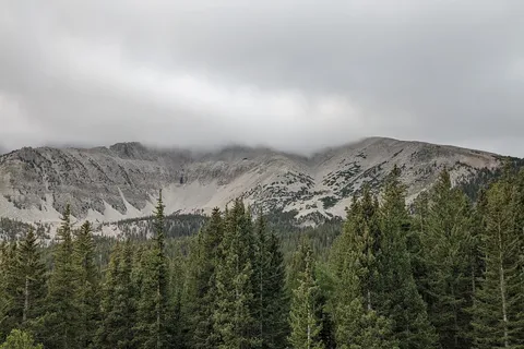 Upper Lehman Creek - Great Basin National Park