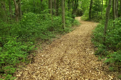 Van Buren State Park