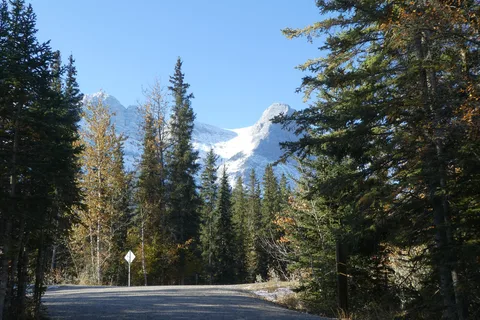 Wapiti Campground