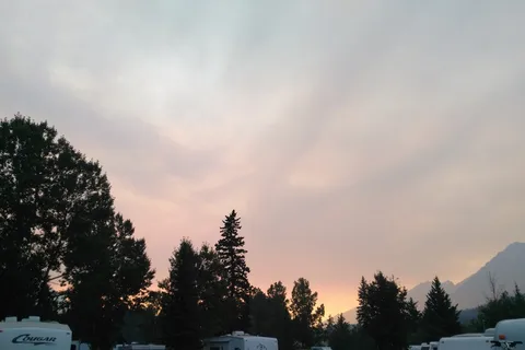 Wapiti Campground