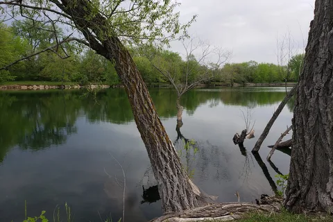Sycamore RV Resort