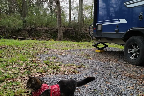 Maxie's Campground LLC