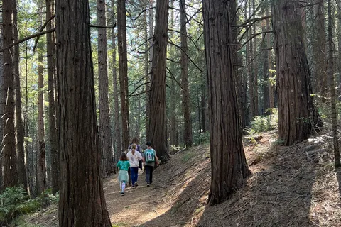 Riverside - Castle Crags State Park