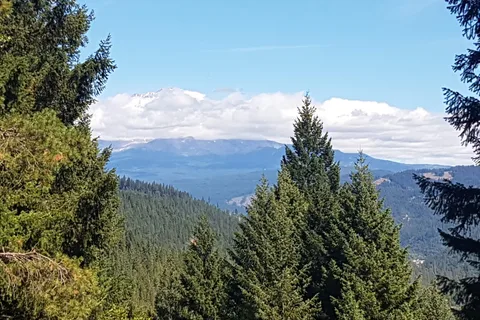 Riverside - Castle Crags State Park