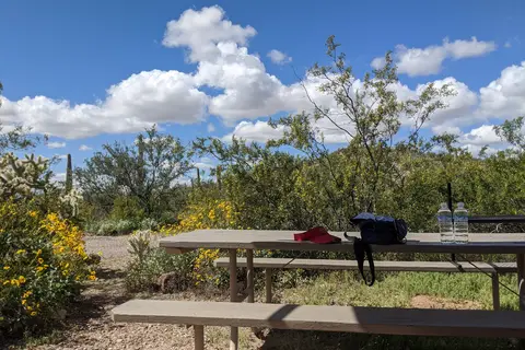 Twin Peaks Campground - Organ Pipe Cactus Nat Monument