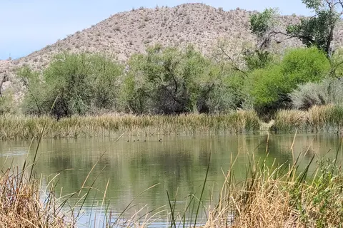 Twin Peaks Campground - Organ Pipe Cactus Nat Monument