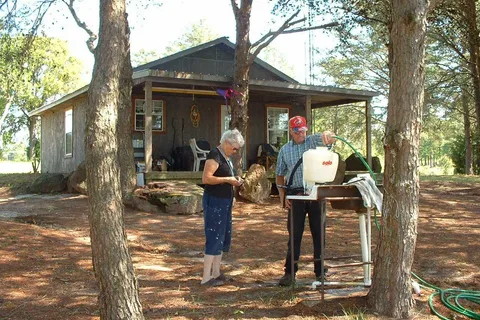Lions RV Park and Cabins