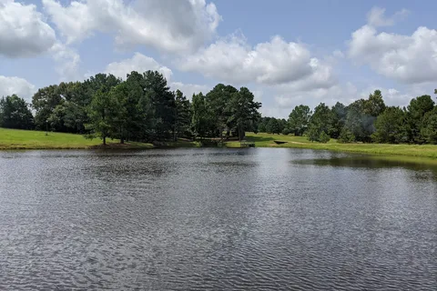 Lions RV Park and Cabins