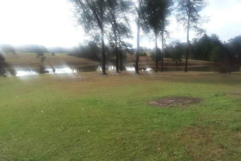 Lions RV Park and Cabins
