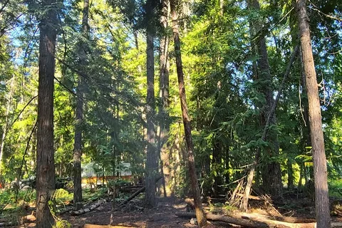 Scotch Creek - Shuswap Lake Provincial Park