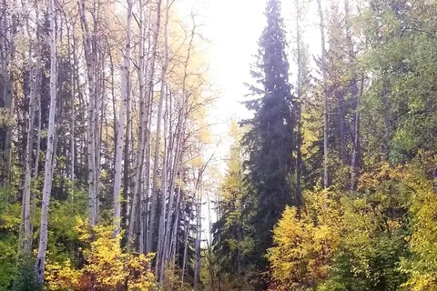 Sowchea Bay Provincial Recreational Area