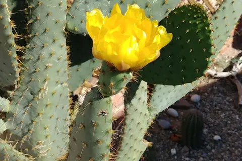 KOFA Ko-op Retreat