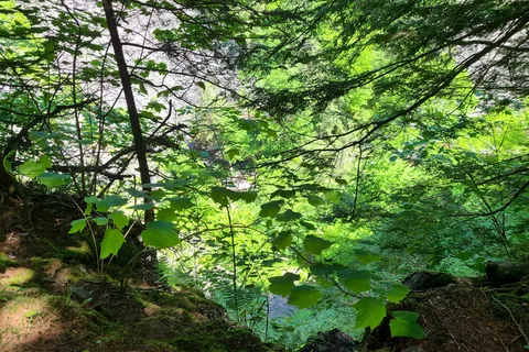 Whetstone Gulf State Park