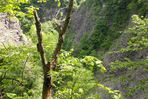 Whetstone Gulf State Park