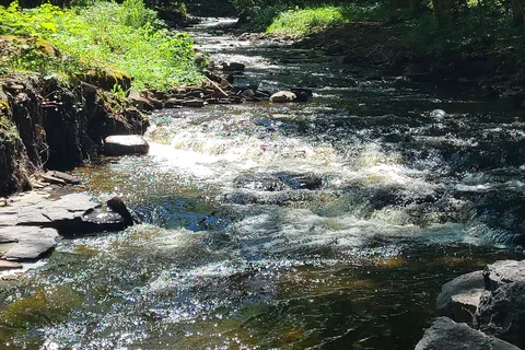 Whetstone Gulf State Park