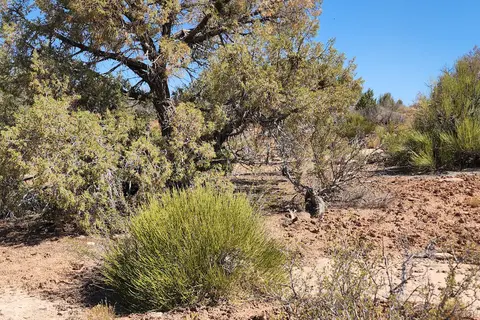 Hovenweep National Monument Campground