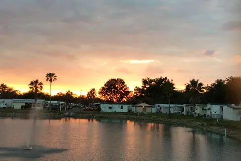 Palm View Gardens RV Resort