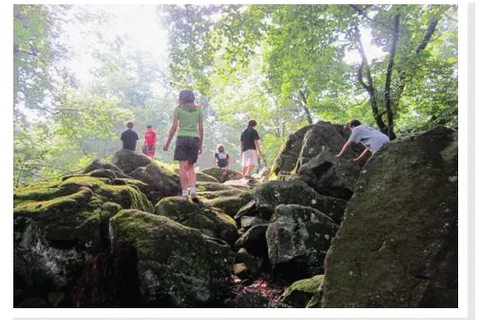 Woodcrest Retreat