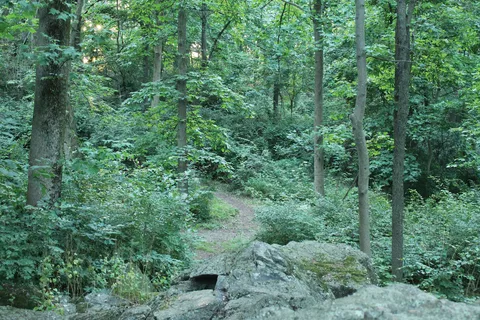Woodcrest Retreat