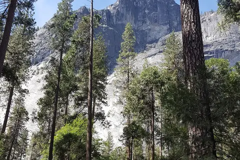 Lower Pines - Yosemite National Park