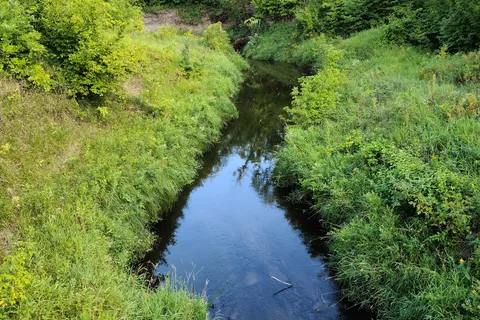 Icelandic State Park