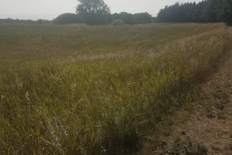 Icelandic State Park