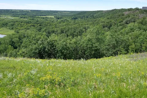 Icelandic State Park