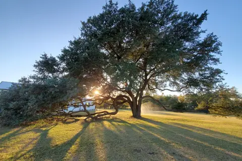 The Oaks at High Hill Wedding Venue