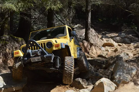 Walker Valley ORV