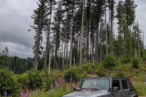 Walker Valley ORV
