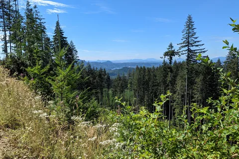 Walker Valley ORV