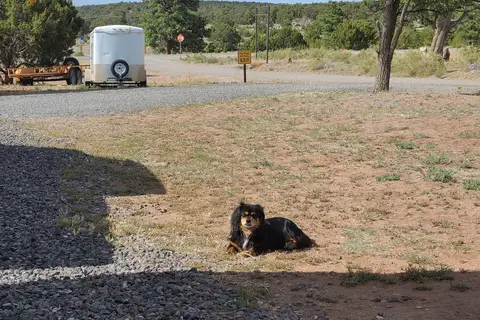 Pie Town RV Park