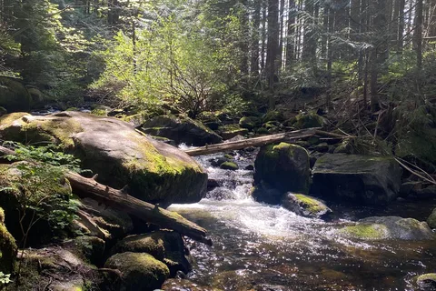 Rolley Lake Provincial Park