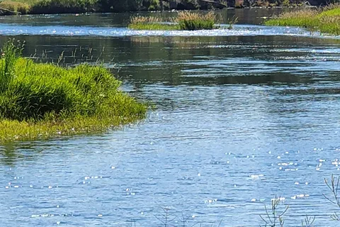 Heise Hot Springs Inc