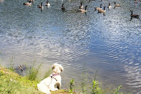 Kenisee Lake RV Campground